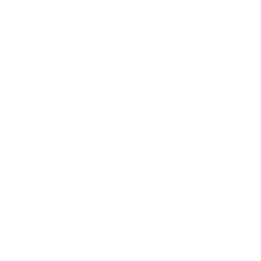 Werte Entwickler